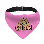 Drama Queen Pet Bandana Collar - Funny Scarf Collar - Themed Dog Bandana MADE IN THE USA Pet Supplies Pet Supplies