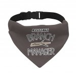 Assistant Branch Manager Pet Bandana Collar - Minimalist Scarf Collar - Print Dog Bandana MADE IN THE USA Pet Clothing Pet Supplies Pet Supplies