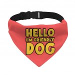 I'm Friendly Dog Pet Bandana Collar - Themed Scarf Collar - Cute Dog Bandana MADE IN THE USA Pet Supplies Pet Supplies