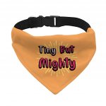 Tiny but Mighty Pet Bandana Collar - Art Scarf Collar - Word Art Dog Bandana MADE IN THE USA Pet Supplies Pet Supplies